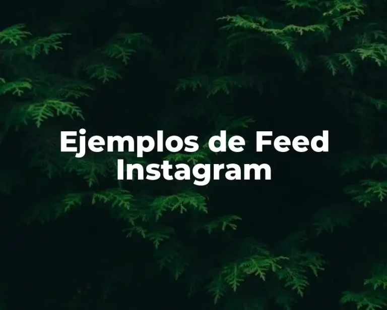 Ejemplos de Feed Instagram