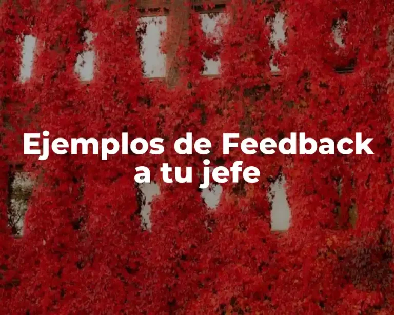 Ejemplos de Feedback a tu jefe