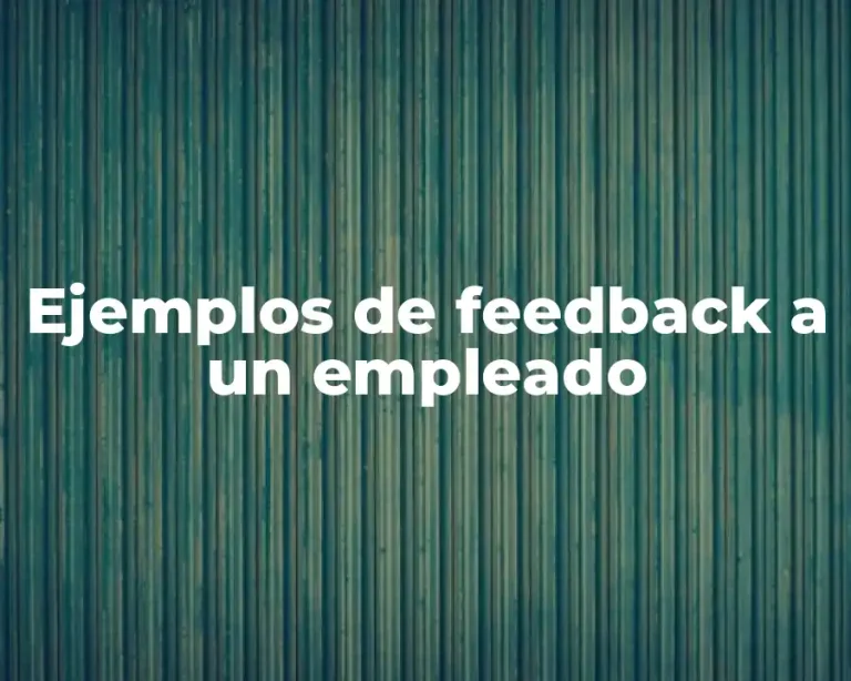 Ejemplos de feedback a un empleado