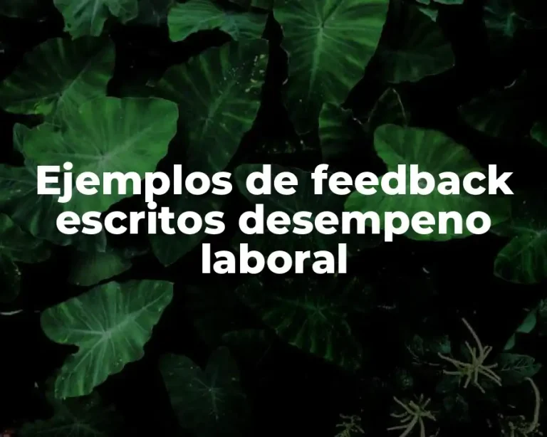 Ejemplos de feedback escritos desempeno laboral