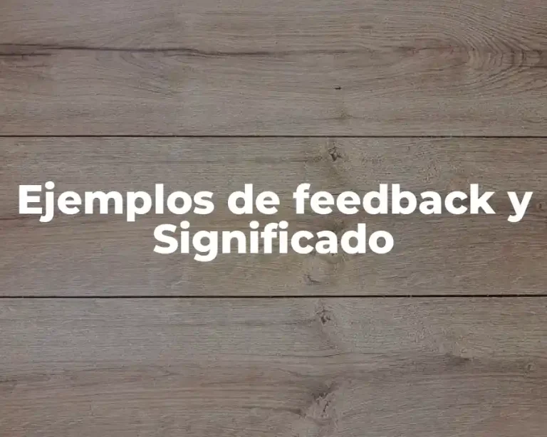 Ejemplos de feedback y Significado