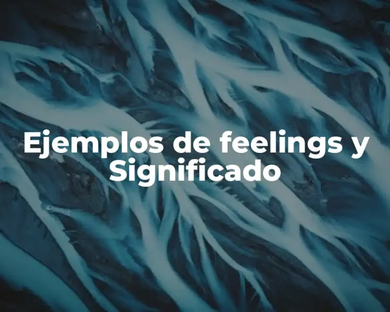 Ejemplos de feelings y Significado