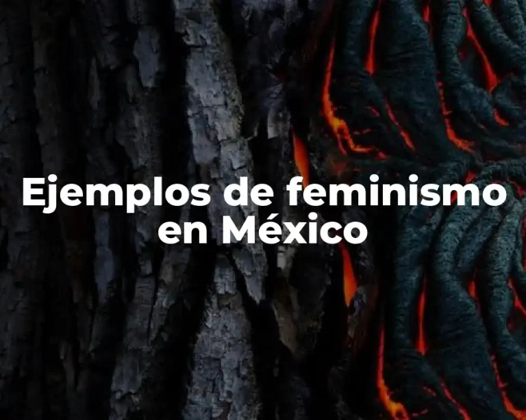 Ejemplos de feminismo en México