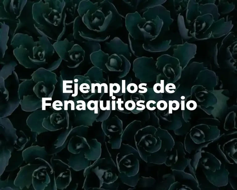 Ejemplos de Fenaquitoscopio