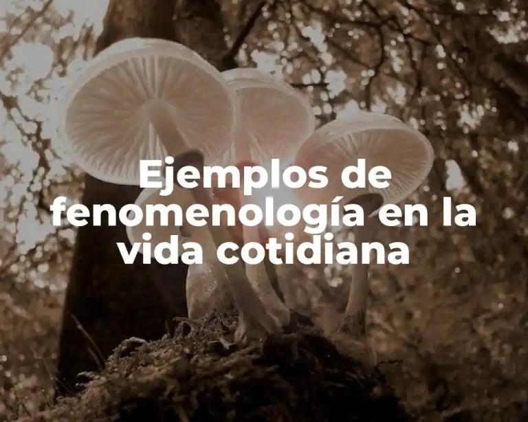 Ejemplos de fenomenología en la vida cotidiana