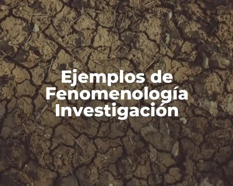 Ejemplos de Fenomenología Investigación