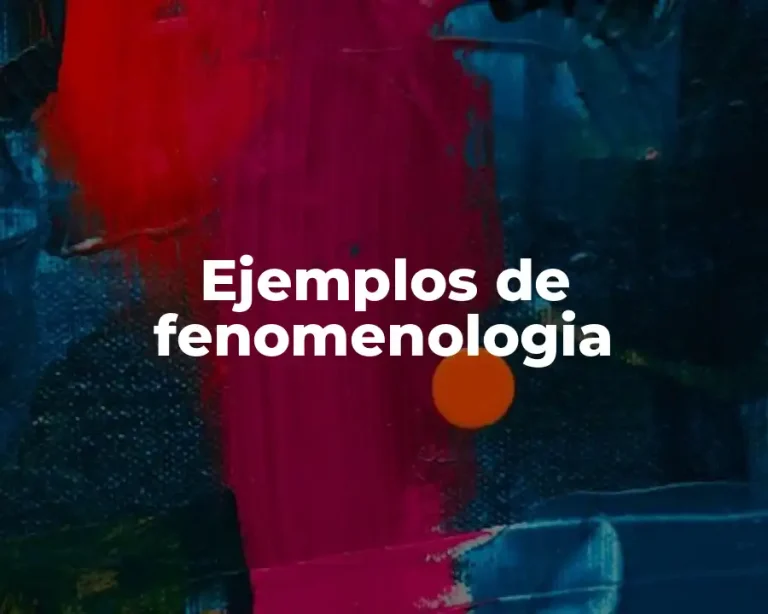Ejemplos de fenomenologia