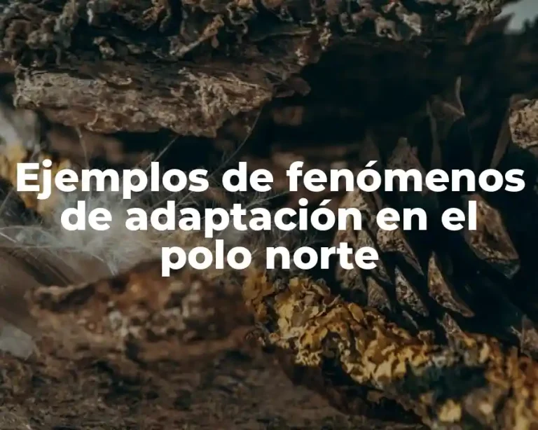 Ejemplos de fenómenos de adaptación en el polo norte