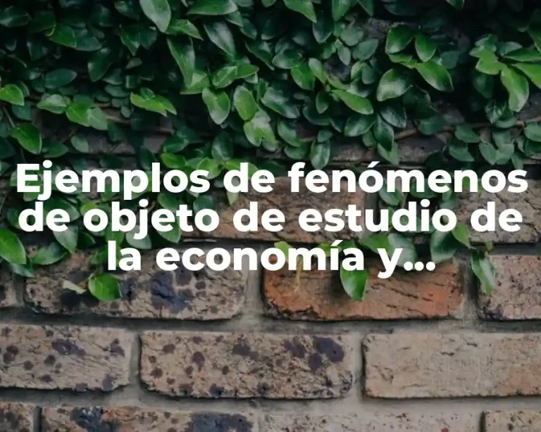 Ejemplos de fenómenos de objeto de estudio de la economía y Significado