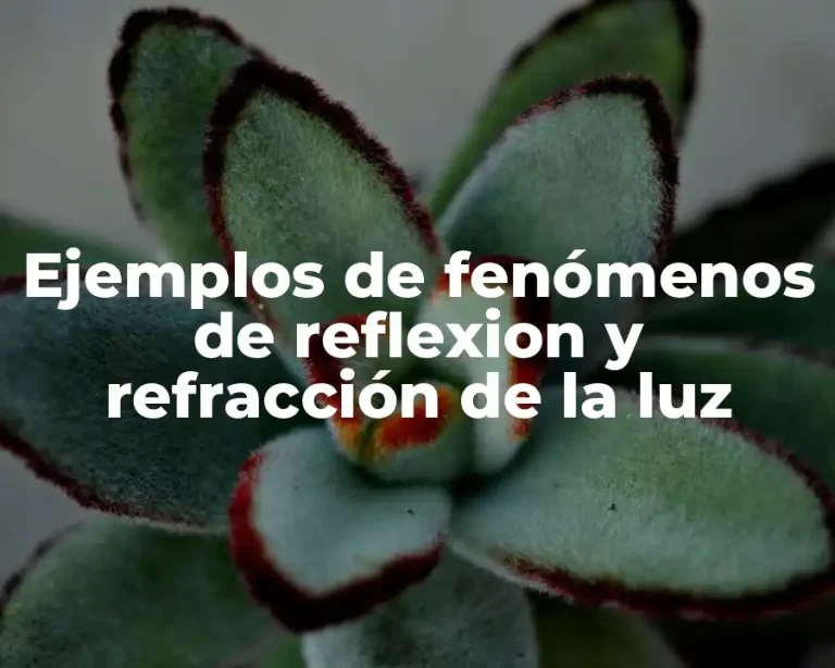 Ejemplos de fenómenos de reflexion y refracción de la luz