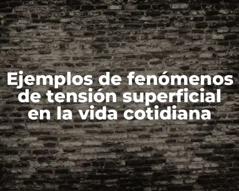 Ejemplos de fenómenos de tensión superficial en la vida cotidiana