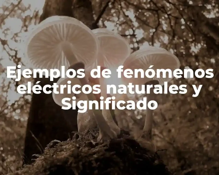 Ejemplos de fenómenos eléctricos naturales y Significado