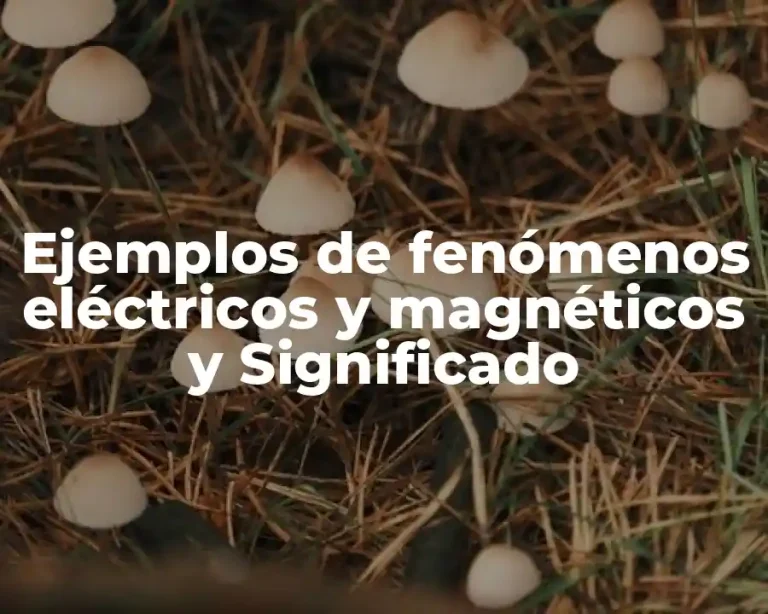 Ejemplos de fenómenos eléctricos y magnéticos y Significado