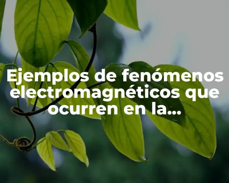 Ejemplos de fenómenos electromagnéticos que ocurren en la naturaleza