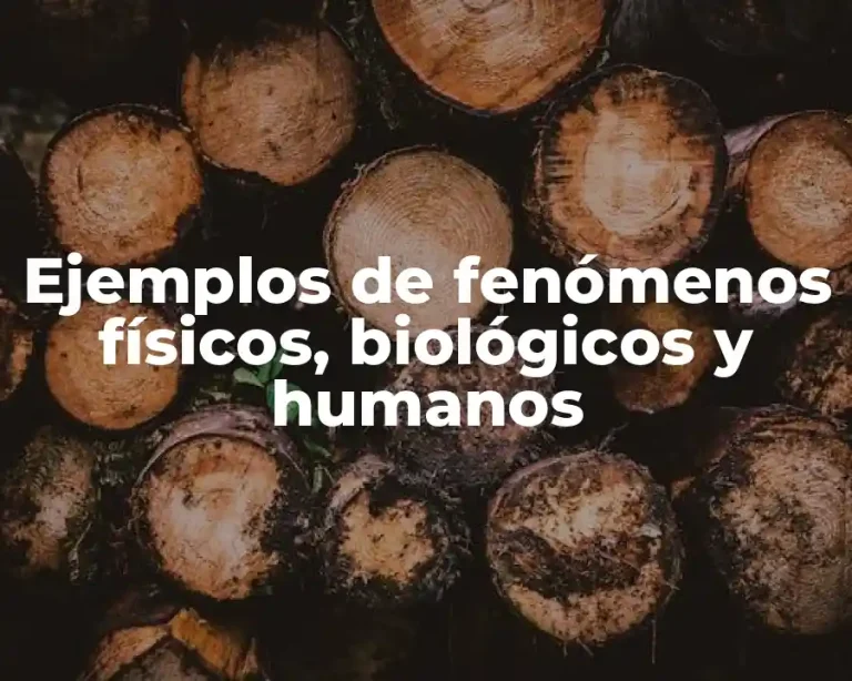 Ejemplos de fenómenos físicos, biológicos y humanos