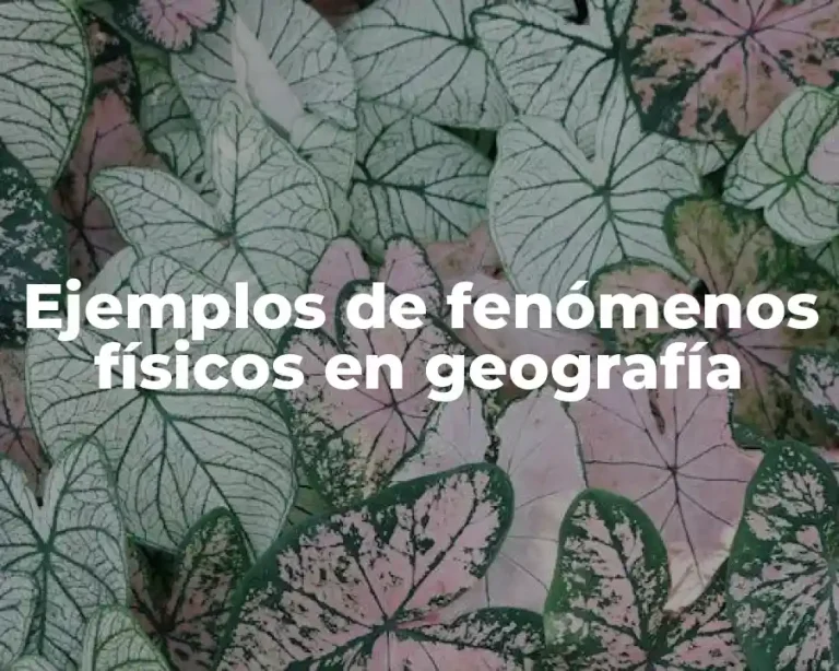 Ejemplos de fenómenos físicos en geografía