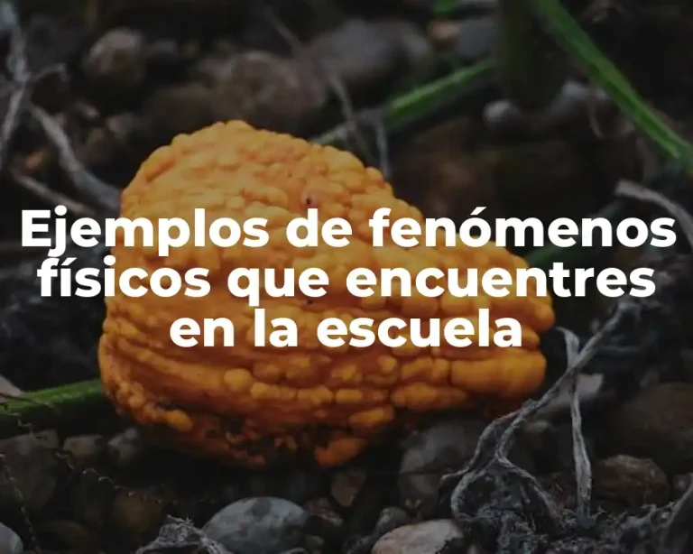 Ejemplos de fenómenos físicos que encuentres en la escuela