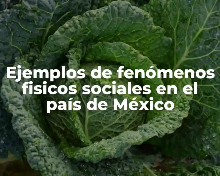 Ejemplos de fenómenos fisicos sociales en el país de México