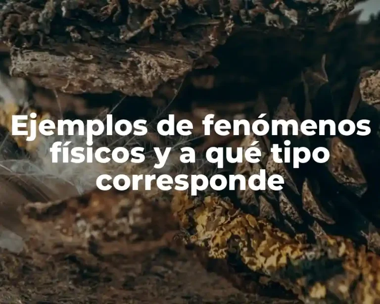 Ejemplos de fenómenos físicos y a qué tipo corresponde