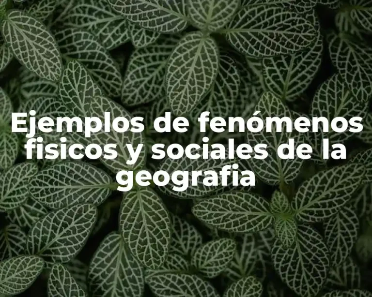 Ejemplos de fenómenos fisicos y sociales de la geografia