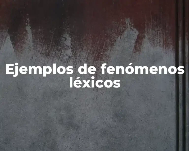 Ejemplos de fenómenos léxicos