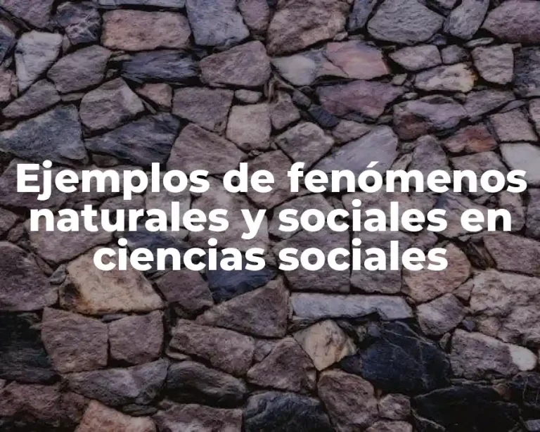 Ejemplos de fenómenos naturales y sociales en ciencias sociales