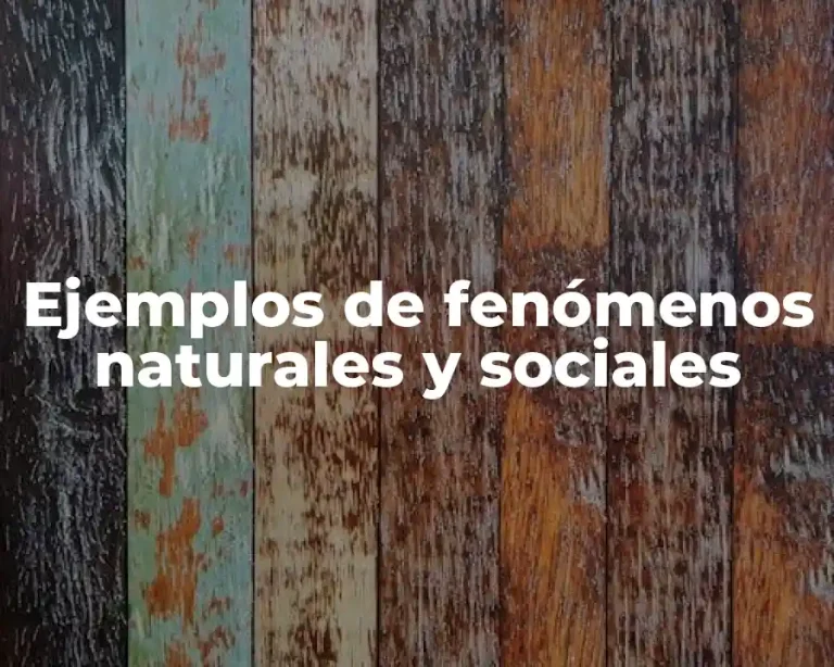 Ejemplos de fenómenos naturales y sociales