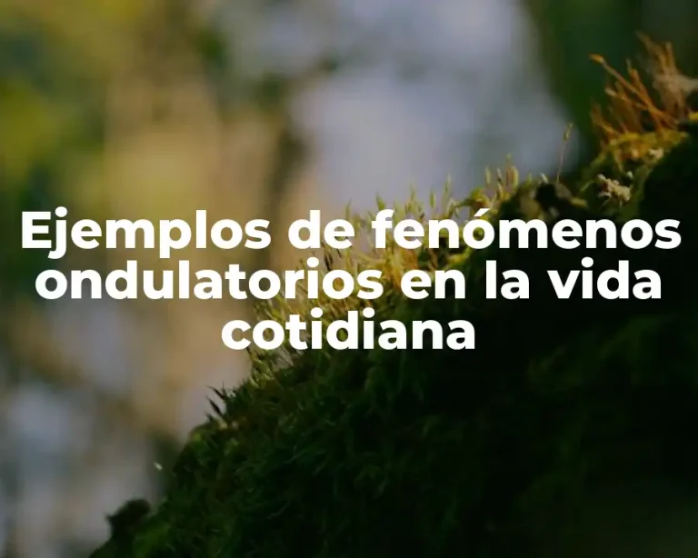Ejemplos de fenómenos ondulatorios en la vida cotidiana