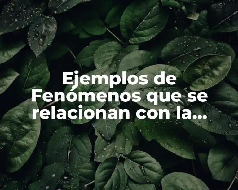 Ejemplos de Fenómenos que se relacionan con la Ciencia