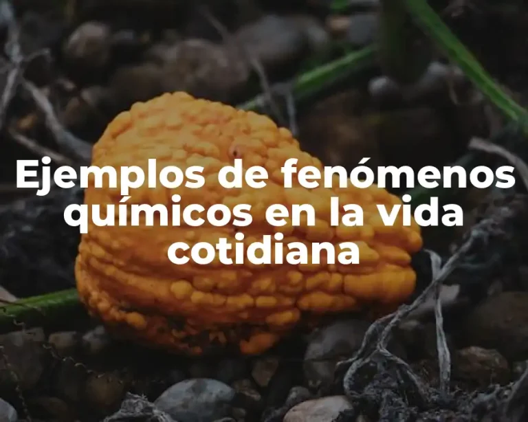 Ejemplos de fenómenos químicos en la vida cotidiana