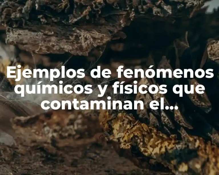Ejemplos de fenómenos químicos y físicos que contaminan el ambiente