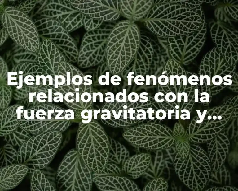 Ejemplos de fenómenos relacionados con la fuerza gravitatoria y Significado
