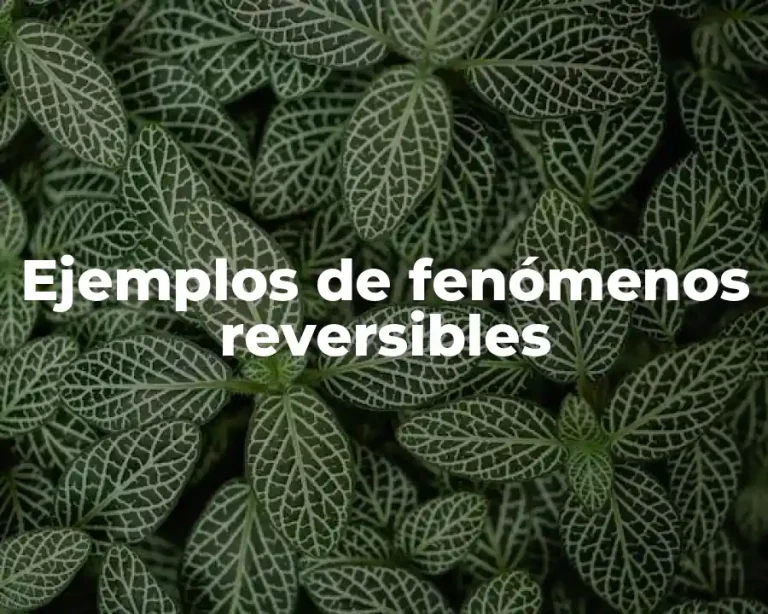 Ejemplos de fenómenos reversibles