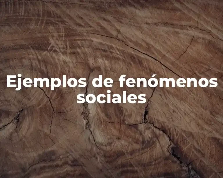 Ejemplos de fenómenos sociales