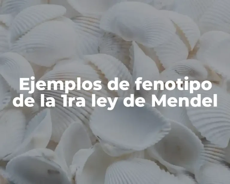 Ejemplos de fenotipo de la 1ra ley de Mendel