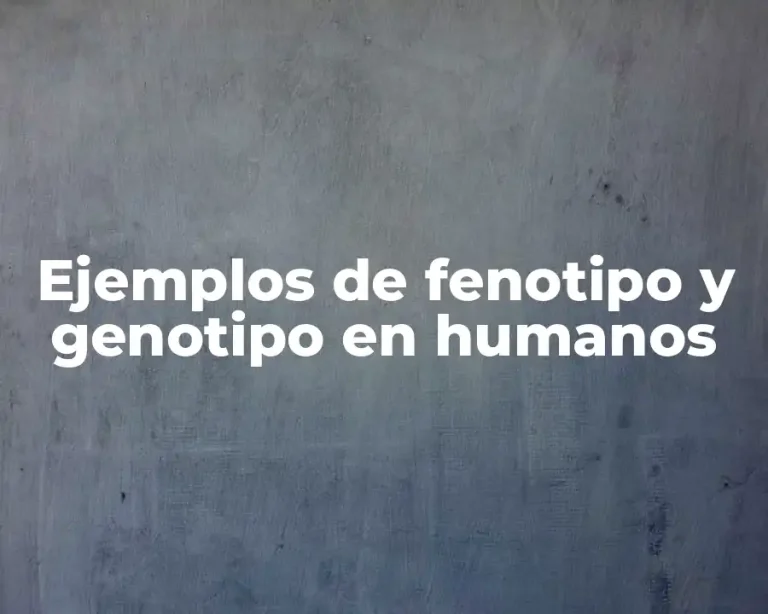 Ejemplos de fenotipo y genotipo en humanos