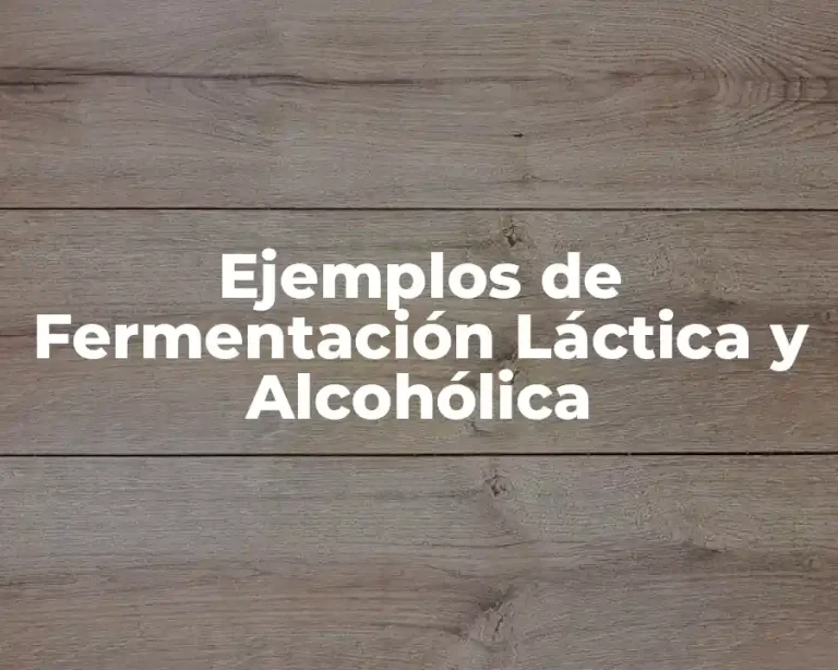 Ejemplos de Fermentación Láctica y Alcohólica