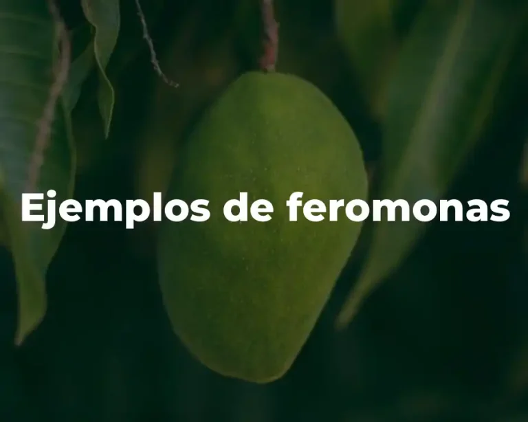 Ejemplos de feromonas