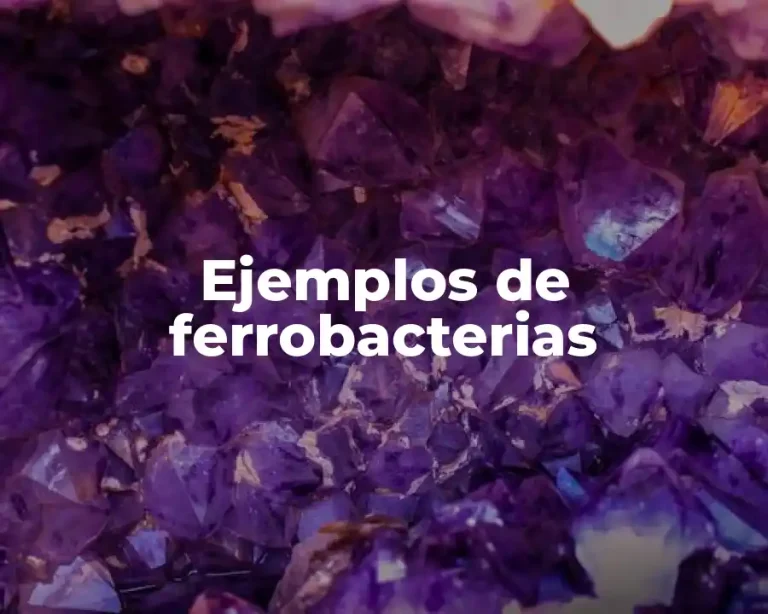 Ejemplos de ferrobacterias
