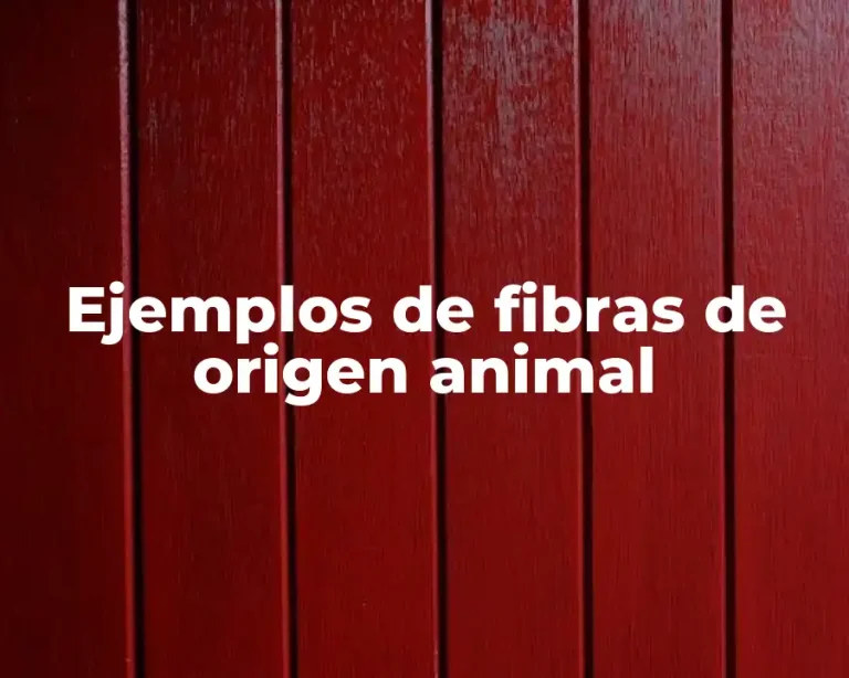 Ejemplos de fibras de origen animal