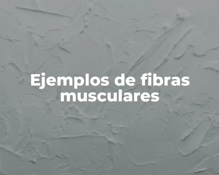 Ejemplos de fibras musculares