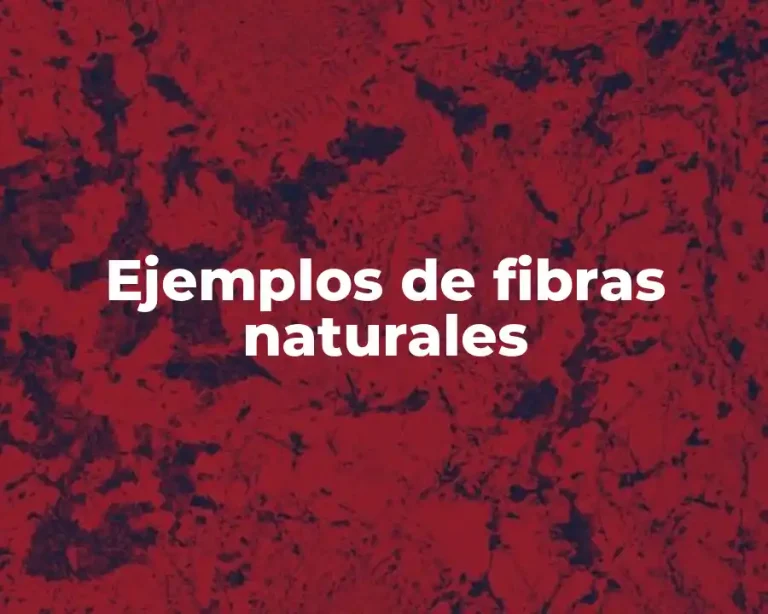 Ejemplos de fibras naturales