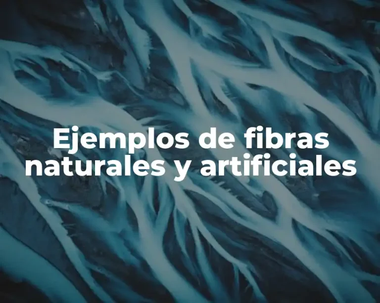 Ejemplos de fibras naturales y artificiales