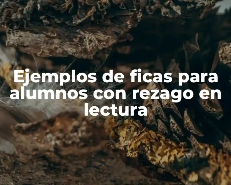 Ejemplos de ficas para alumnos con rezago en lectura