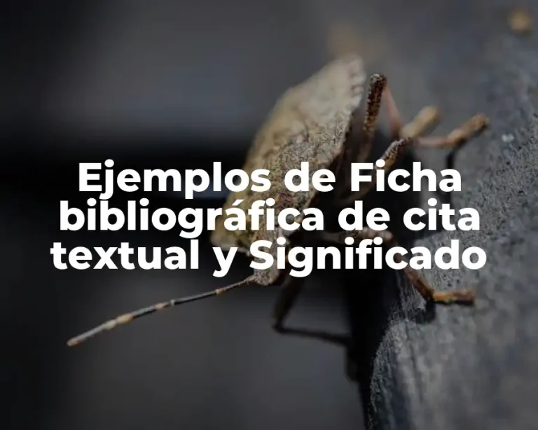 Ejemplos de Ficha bibliográfica de cita textual y Significado
