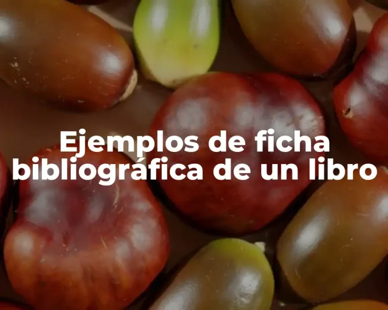 Ejemplos de ficha bibliográfica de un libro