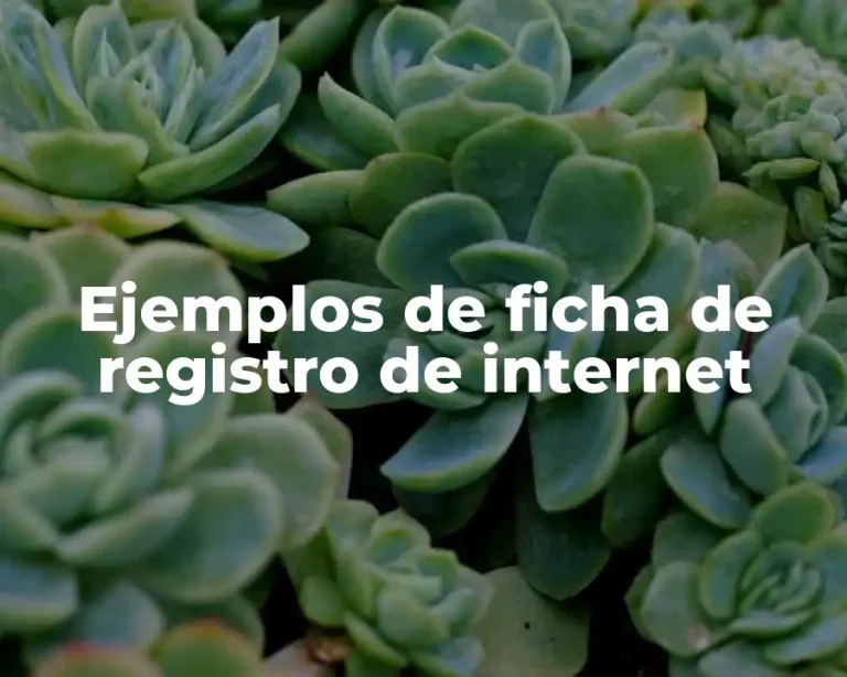 Ejemplos de ficha de registro de internet