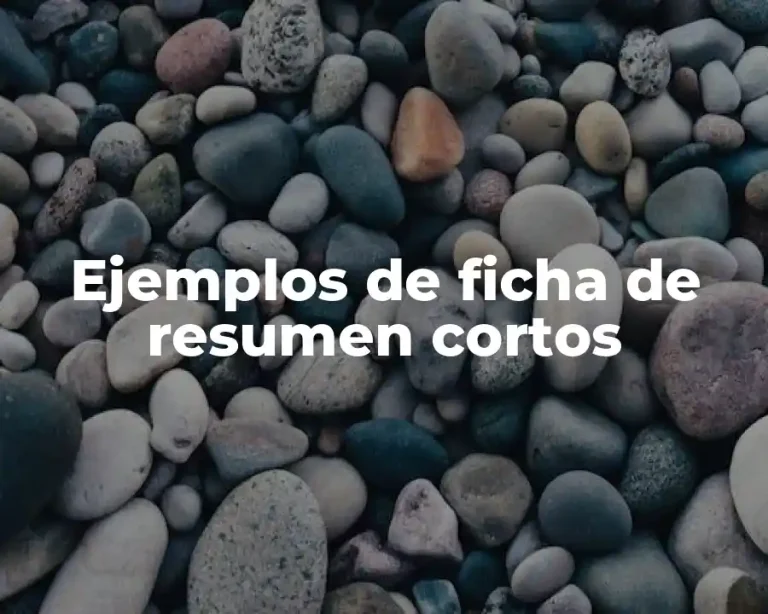 Ejemplos de ficha de resumen cortos