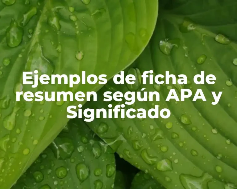 Ejemplos de ficha de resumen según APA y Significado