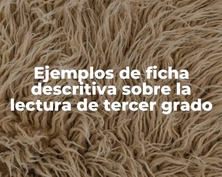 Ejemplos de ficha descritiva sobre la lectura de tercer grado